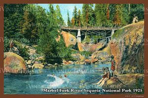 Sequoia Postcard 1925 - 16