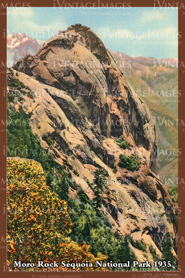 Sequoia Postcard 1935 - 19