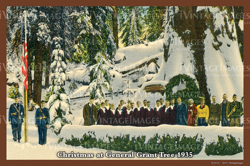 Sequoia Postcard 1935 - 26
