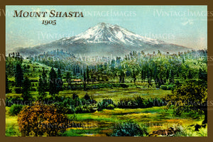 Mount Shasta Postcard 1905 - 01