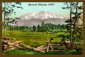 Mount Shasta Postcard 1907 - 02