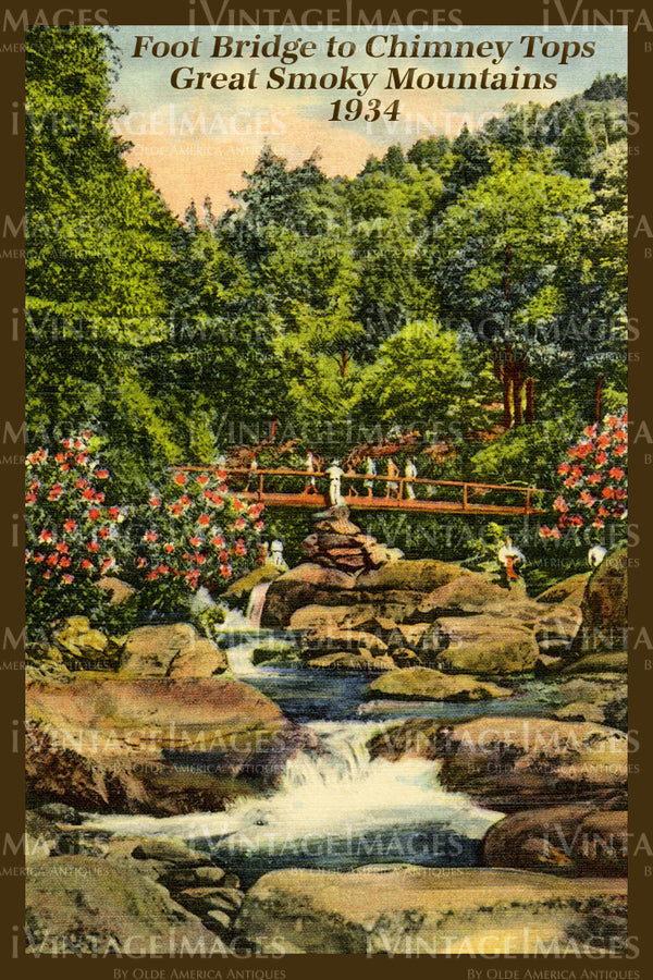 Great Smoky Mountains Postcard 1934 - 11