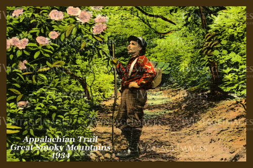 Great Smoky Mountains Postcard 1934 - 12