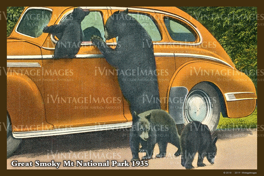 Great Smoky Mountains Postcard 1930 - 23
