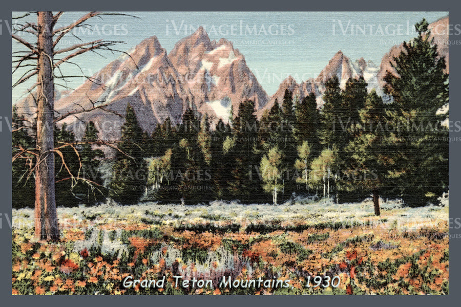 Grand Teton Postcard 1930 - 4