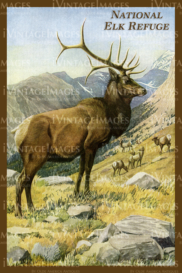 Elk Refuge Print 1935 - 17