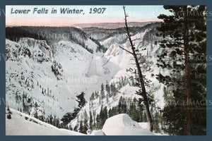Yellowstone Postcard 1908 - 63
