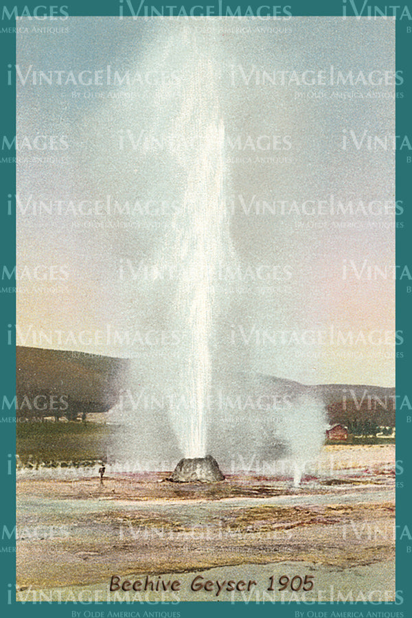 Yellowstone Postcard 1905 - 68