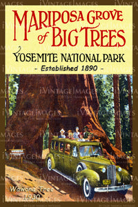 Yosemite Postcard 1930 - 5