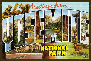 Yosemite Postcard 1935 - 13