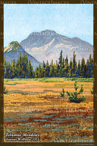 Yosemite Widforss Painting 1922 - 31