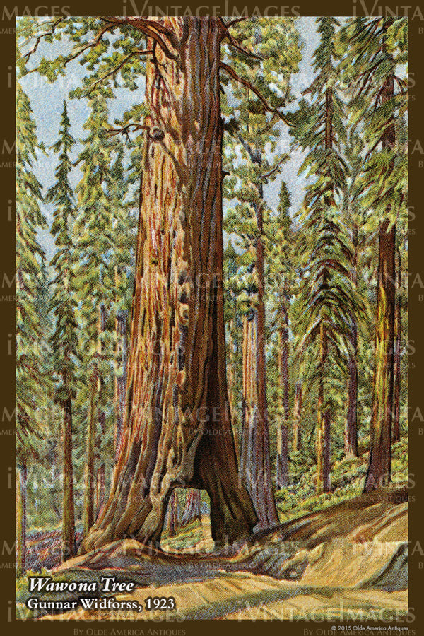 Yosemite Widforss Painting 1923 - 44