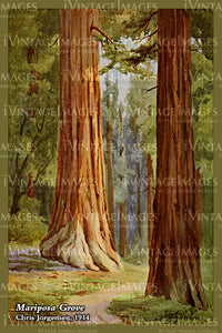 Yosemite Jorgensen Painting 1912 - 48
