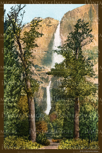 Yosemite Postcard 1910 - 60