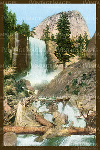 Yosemite Postcard 1910 - 62