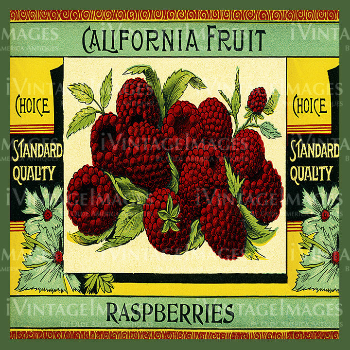 1915 Raspberries - 038