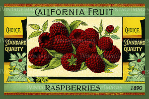 1915 Raspberries - 039