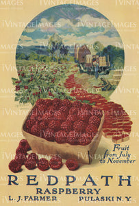 1925 Raspberries -040