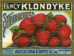 1915 Fancy Klondyke Strawberries -028