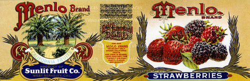 1925 Strawberries -029