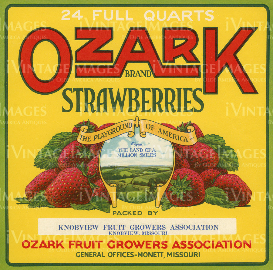 1915 Strawberries -030