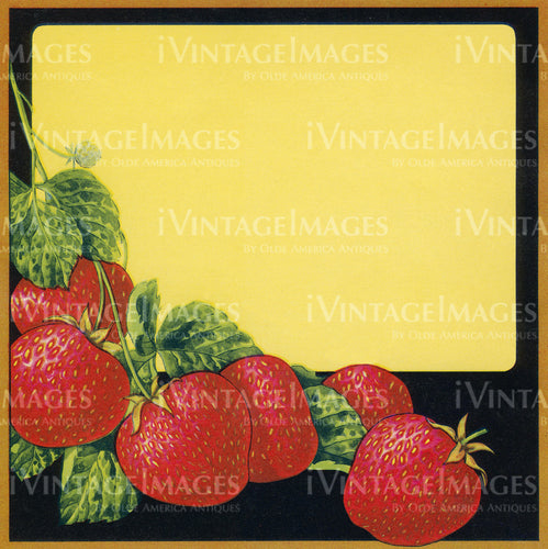 1925 Strawberries -033