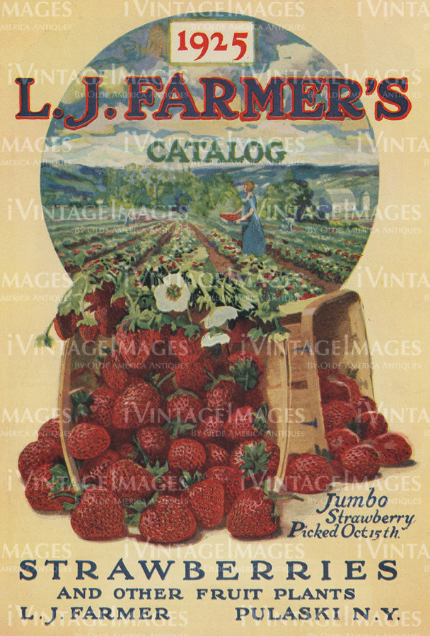 1925 Strawberries -034