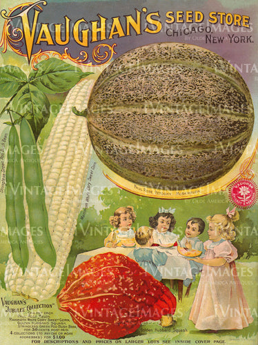 1899 Vegetable Catalog Cover - 036