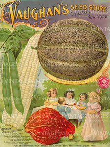 1899 Vegetable Catalog Cover - 036