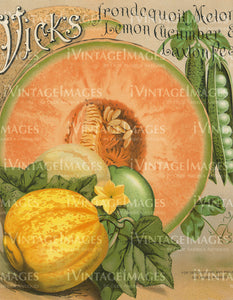 1901 Vegetable Catalog Print - 038