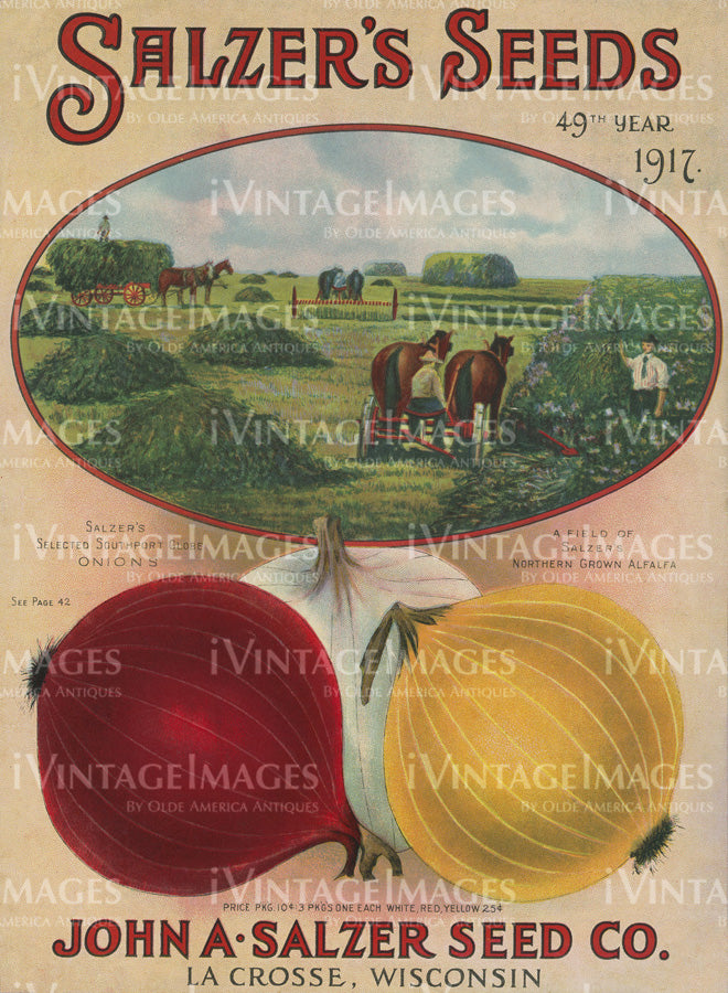 1917 Vegetable Catalog Print - 041