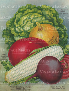 1922 Vegetable Catalog Print - 042
