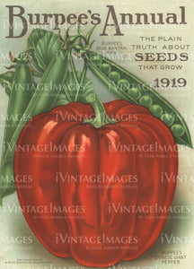 1919 Vegetable Catalog Cover - 047
