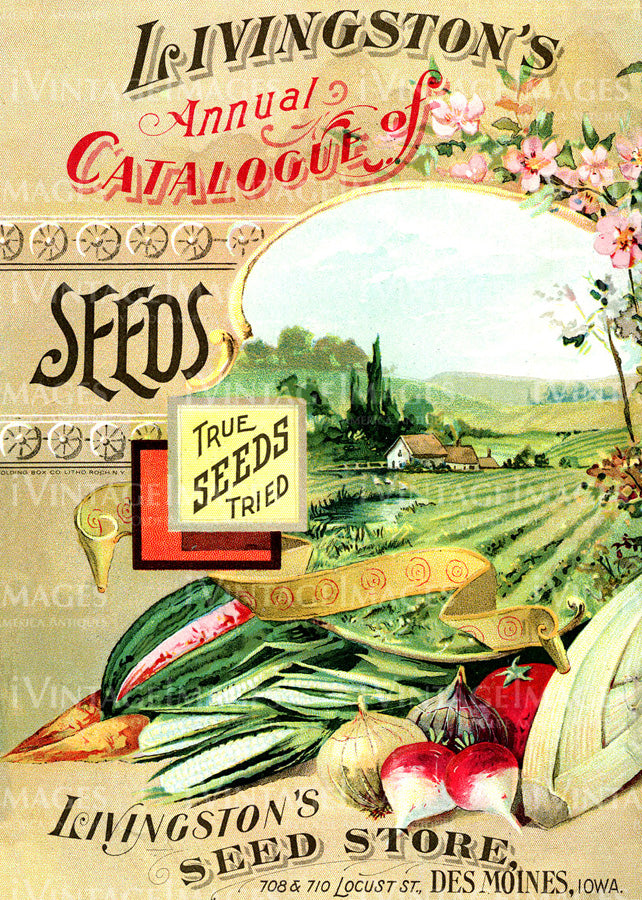 1895 Vegetable Catalog Cover - 005