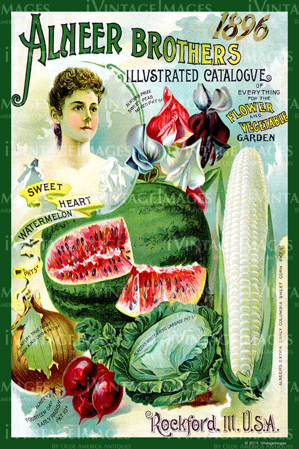 1896 Vegetable Catalog Cover - 006