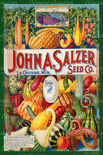 1899 Vegetable Catalog Cover - 009