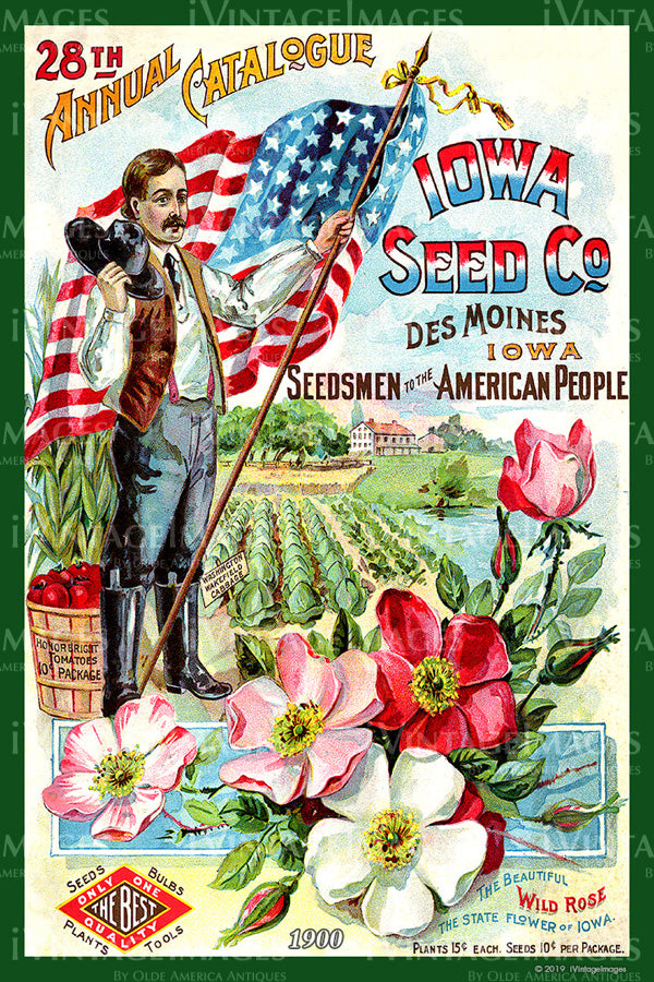 1900 Vegetable Catalog Cover - 011