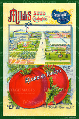 1902 Vegetable Catalog Cover - 012