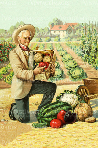 1903 Vegetable Catalog Print - 013