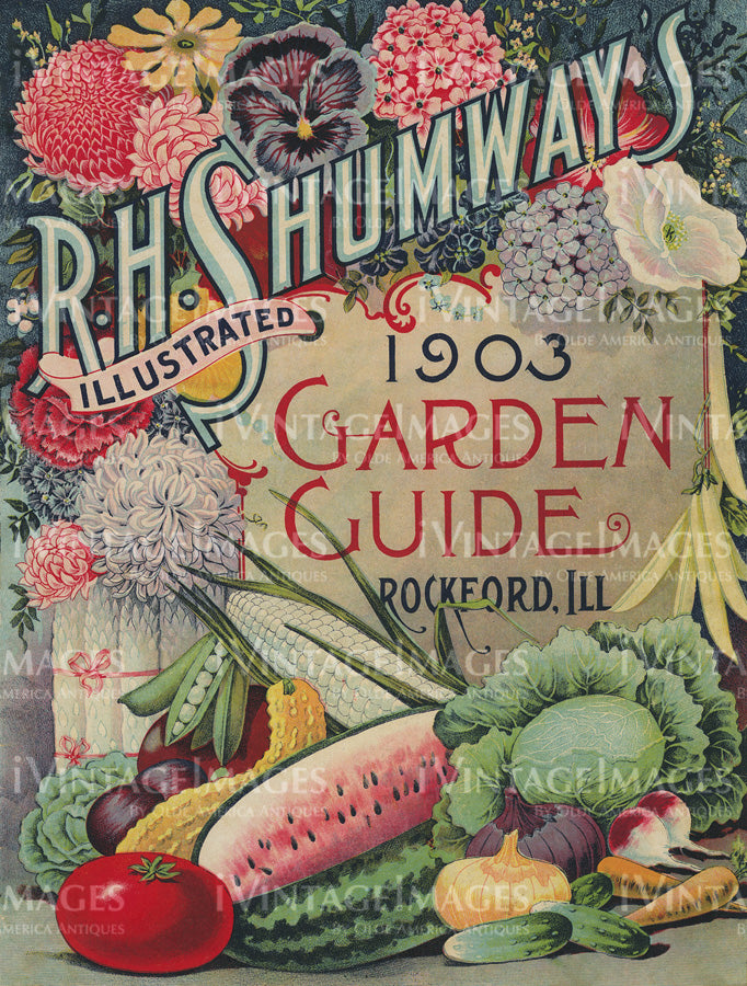 1903 Vegetable Catalog Cover - 014