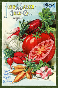 1904 Vegetable Catalog Cover - 015