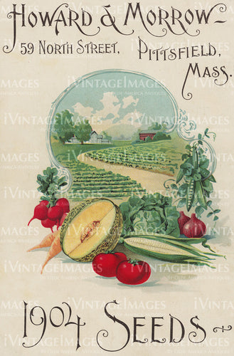 1904 Vegetable Catalog Cover - 016