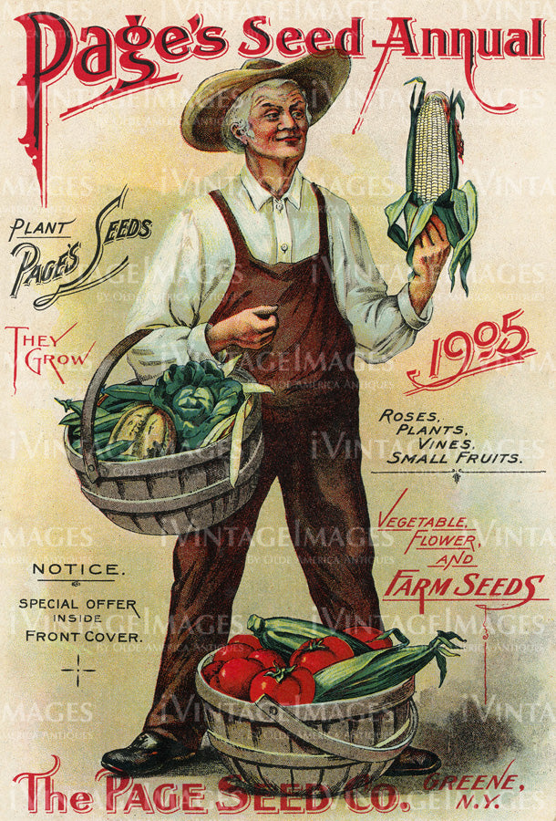 1905 Vegetable Catalog Cover - 017