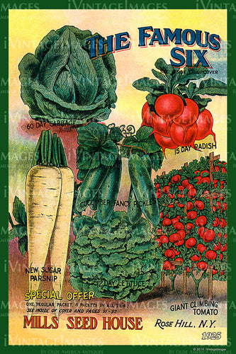 1925 Vegetable Catalog Cover - 018