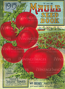 1915 Vegetable Catalog Cover - 019