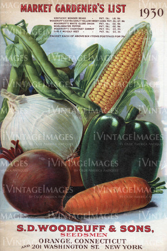 1930 Vegetable Catalog Cover - 024