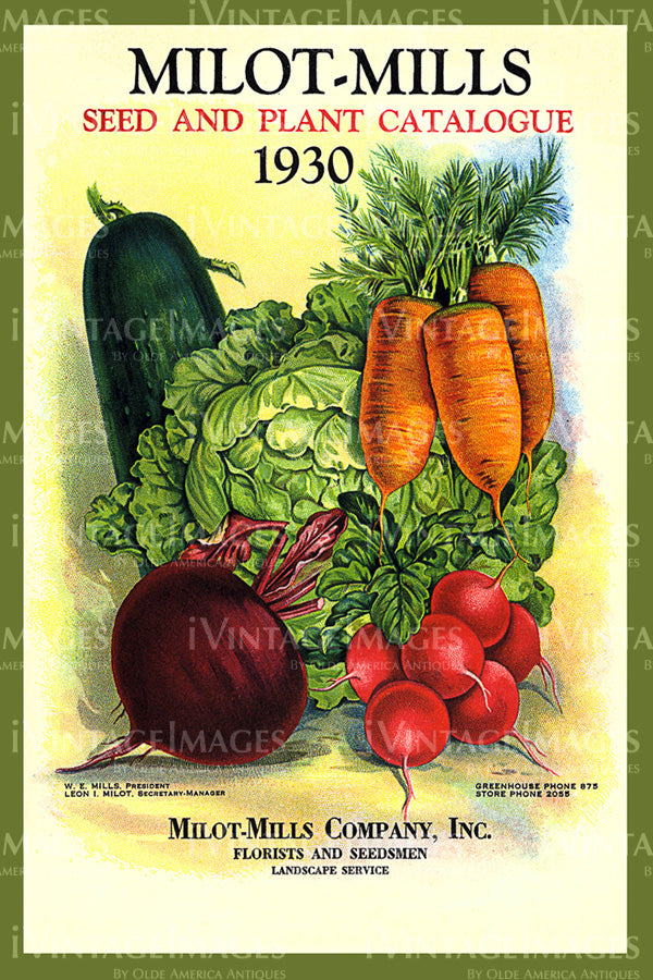 1930 Vegetable Catalog Cover - 025