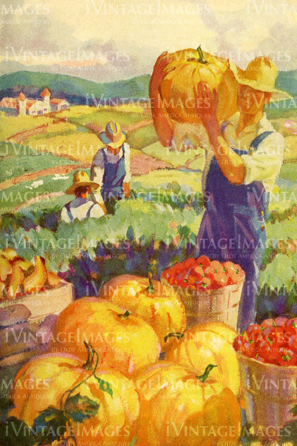 1940 Farmers Harvesting Crops - 030