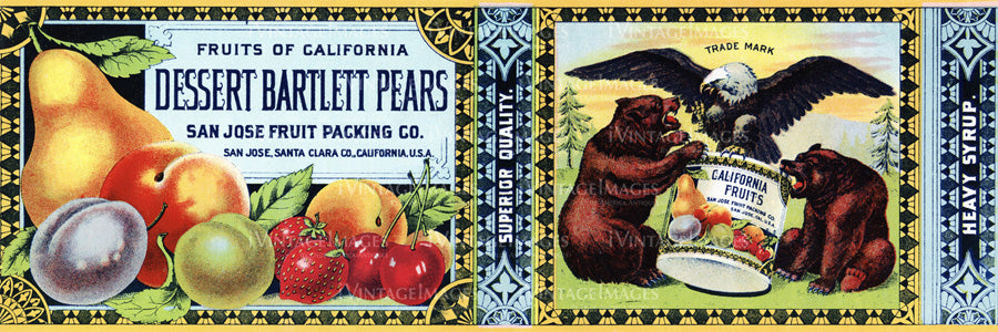 1915 Bartlett Pears -020