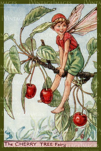 Cicely Barker 1923 - 024 - The Cherry Tree Fairy